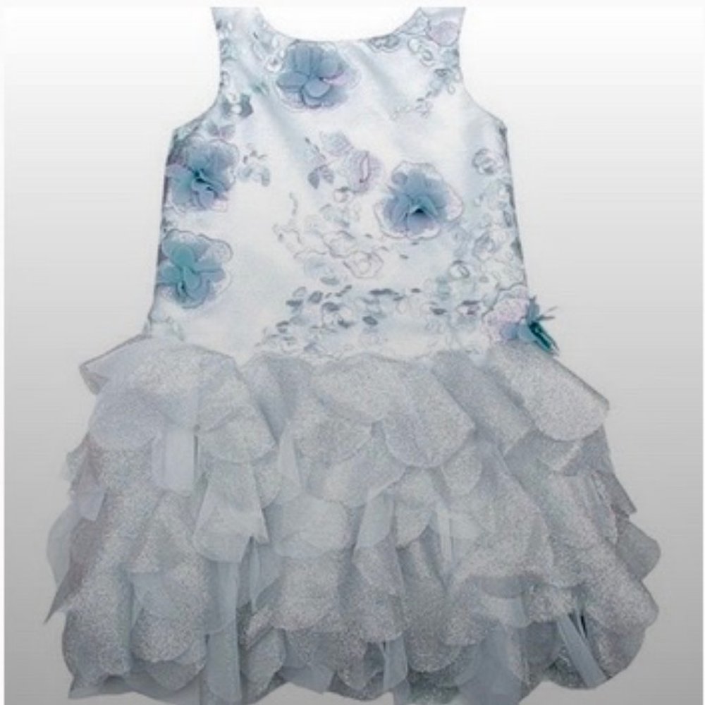 Biscotti Blue Floral Embroidered Lace Ruffle Dress Girls 4